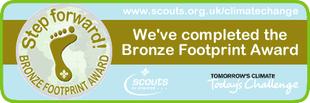 Bronze Footprint Award